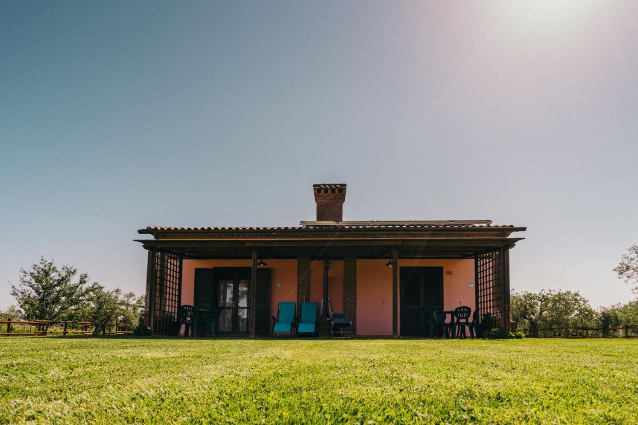 Agriturismo Il Laghetto Гроссето Экстерьер фото