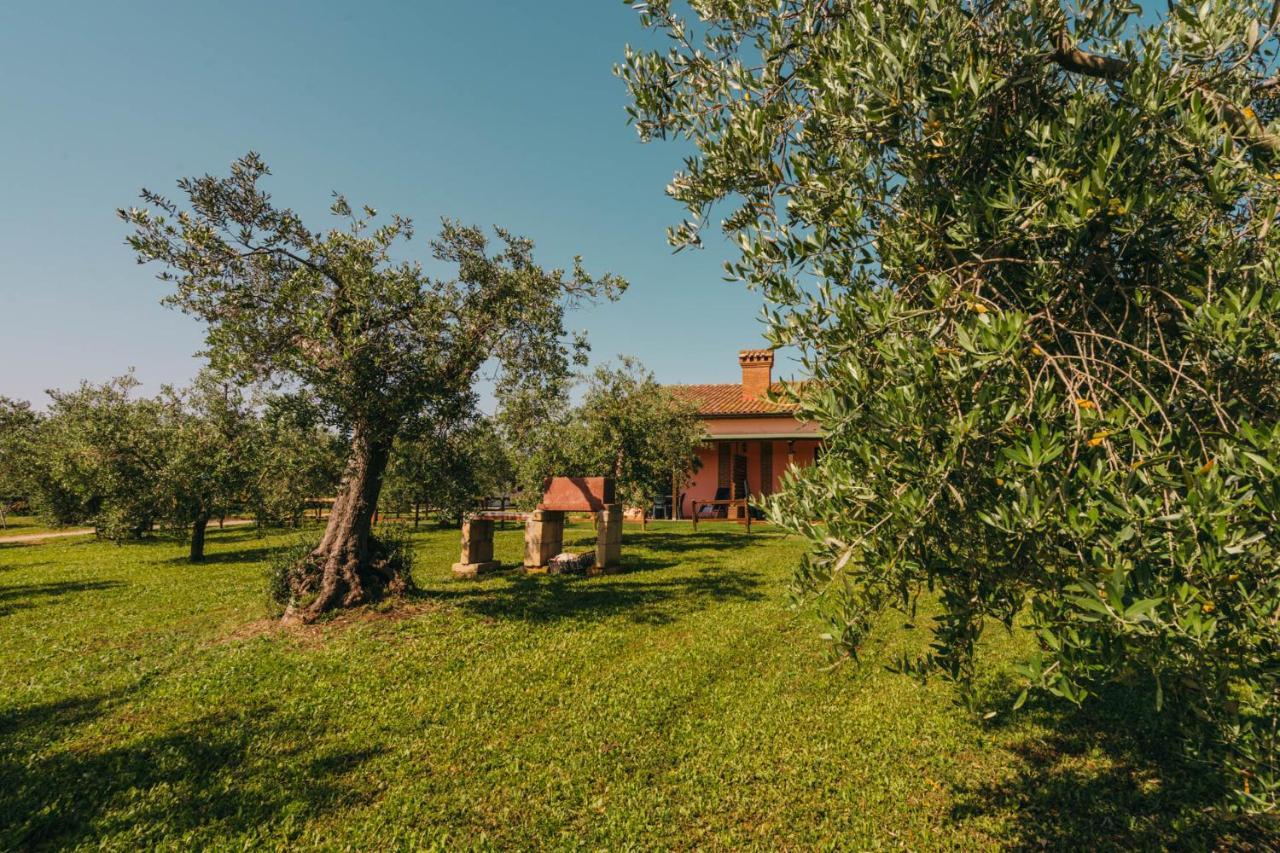 Agriturismo Il Laghetto Гроссето Экстерьер фото